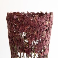 <a href="https://www.galeriegosserez.com/artistes/clegg-shannon.html">Shannon Clegg</a> - « Flora » - Medium Ruby Sculpture